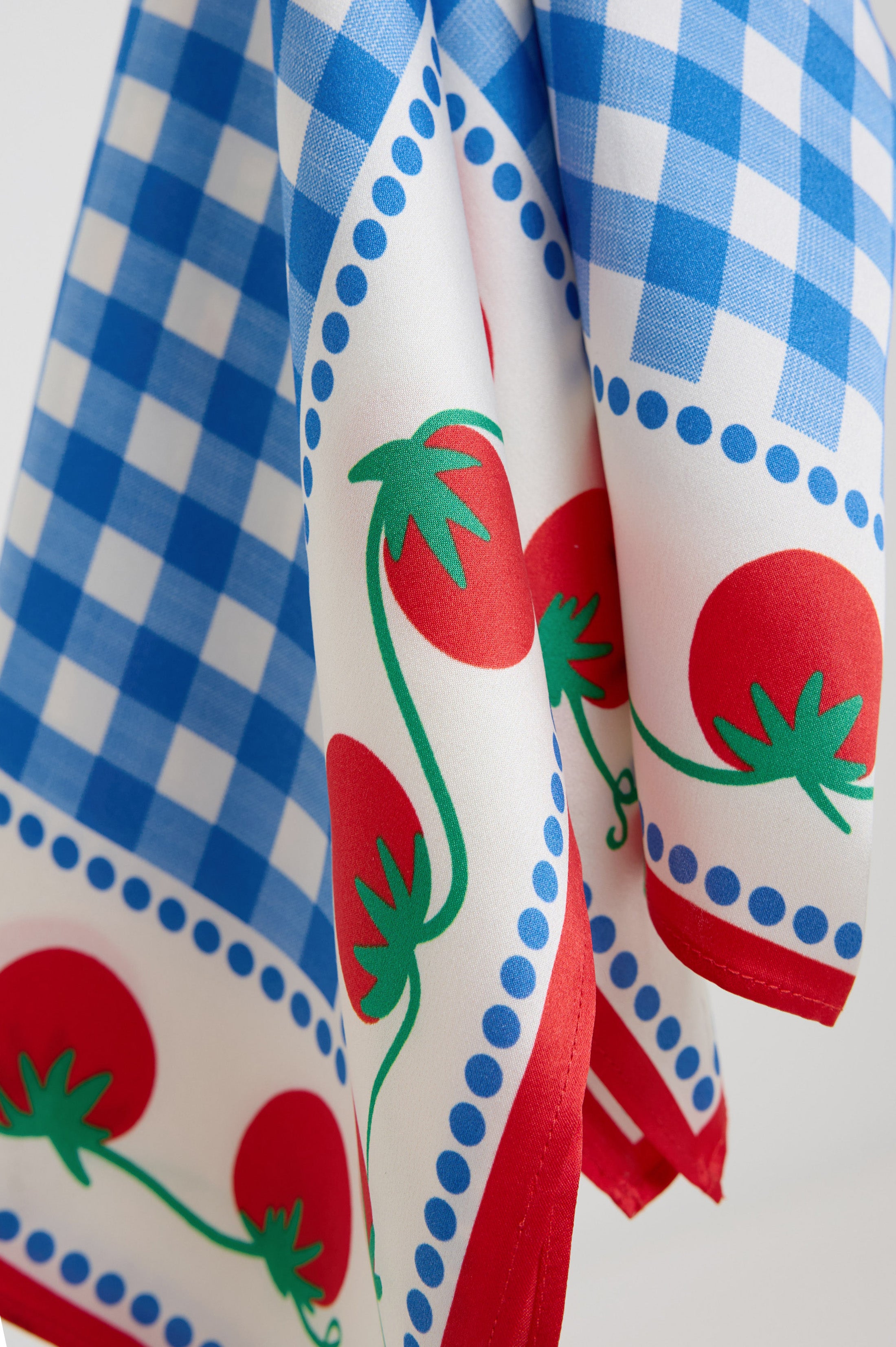 RAILS X GIADZY COSIMA SCARF - GINGHAM TOMATOES – Rails