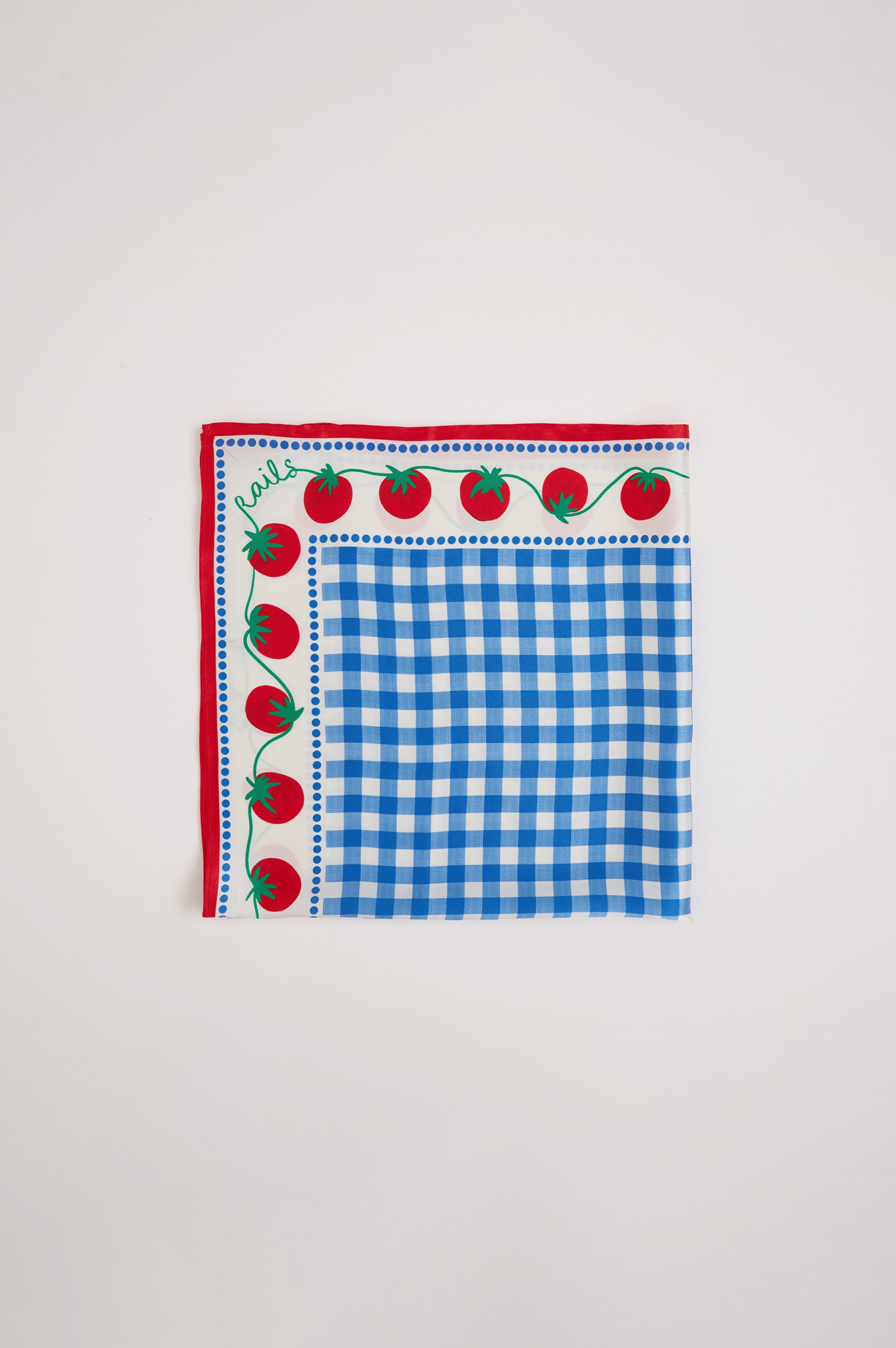 RAILS X GIADZY COSIMA SCARF - GINGHAM TOMATOES – Rails