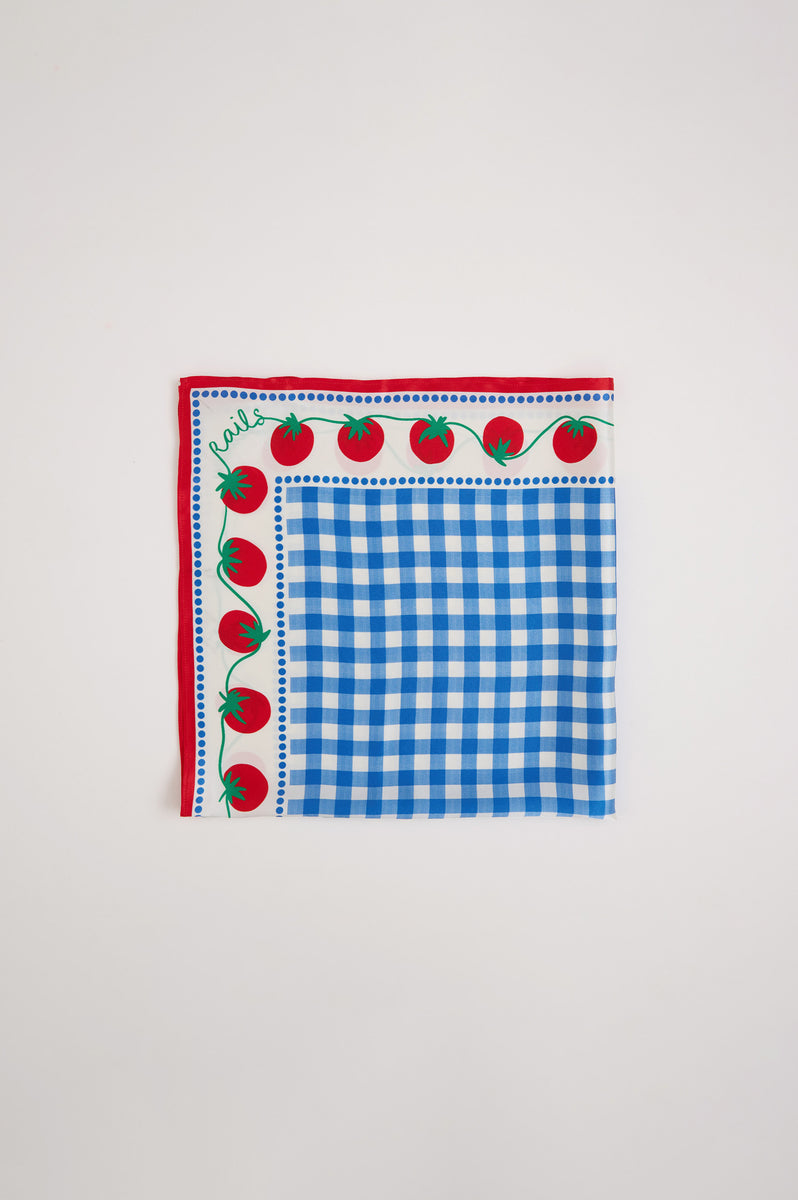 RAILS X GIADZY COSIMA SCARF - GINGHAM TOMATOES – Rails