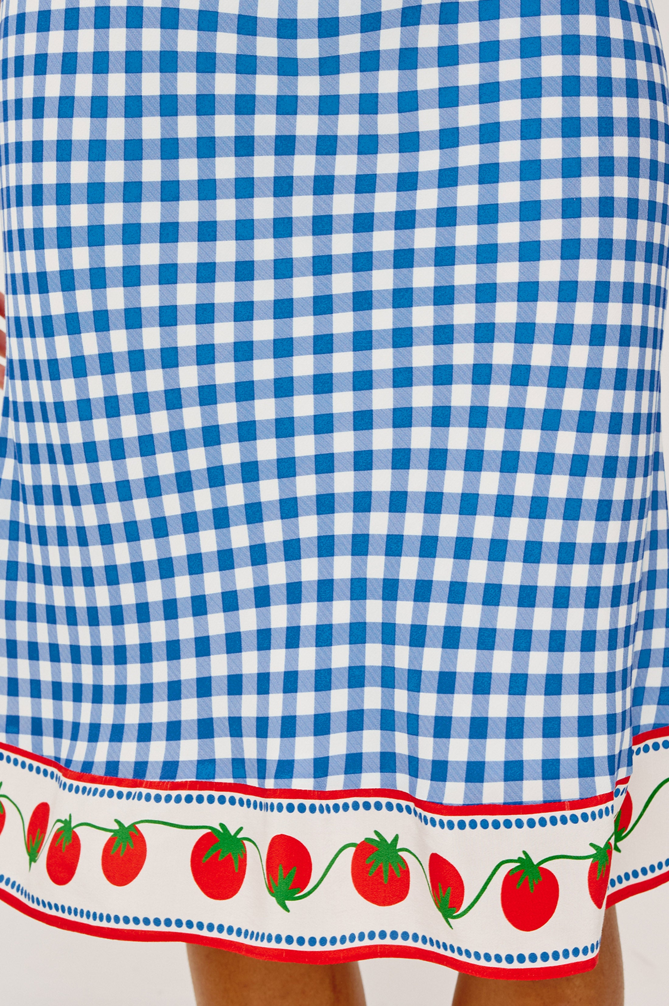 RAILS X GIADZY GRAZIA SKIRT - GINGHAM TOMATOES – Rails