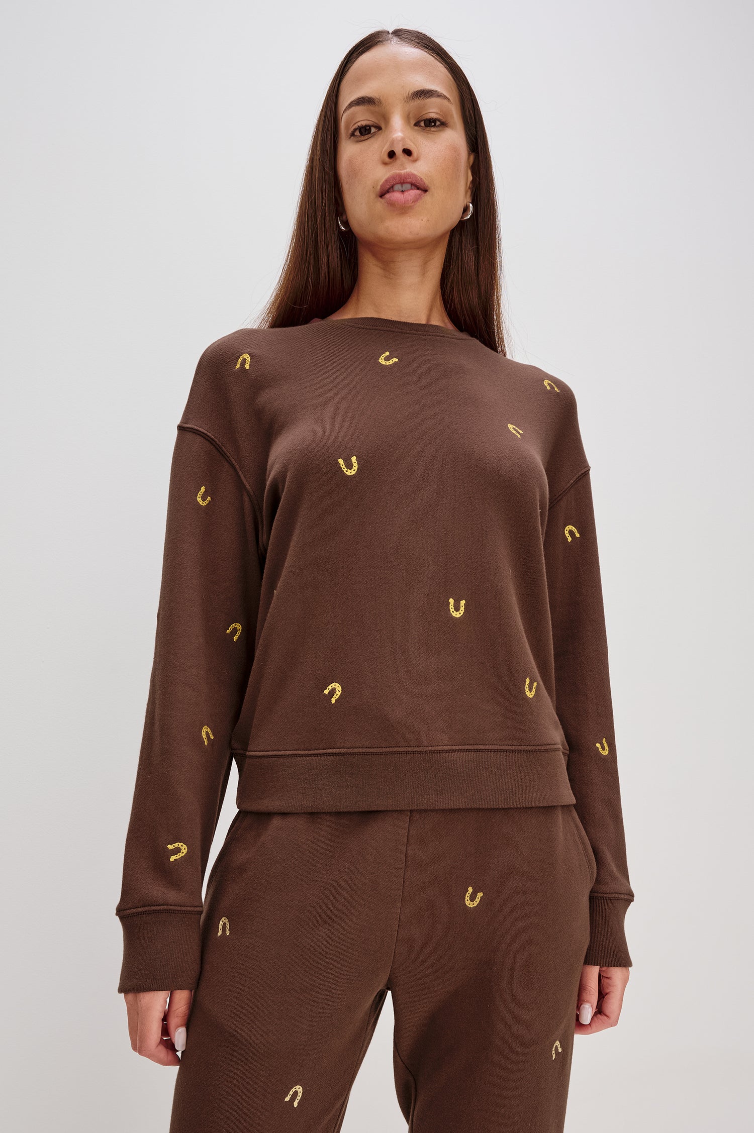 Ramona Long-Sleeve Sweatshirt with a Crew Neck in Horeshoe embroidery colorway in Brown - Front View Featured on Model