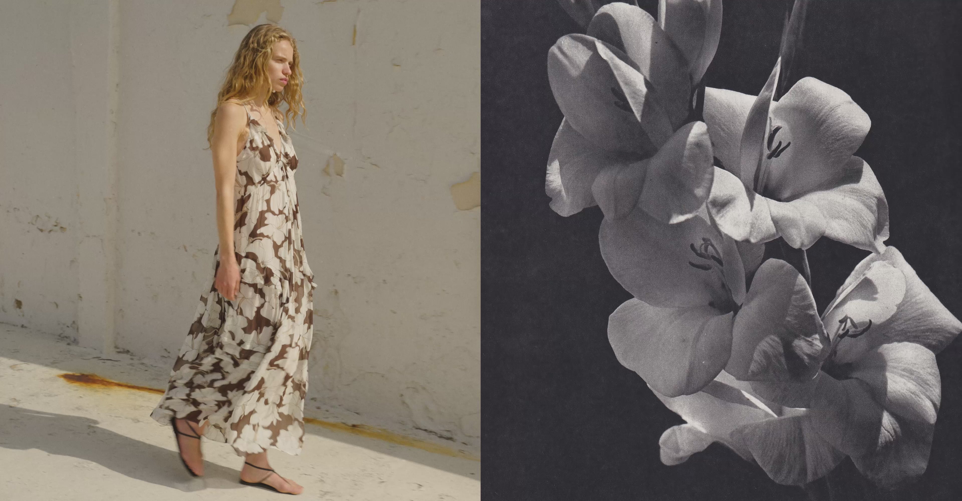 Women's Summer 2024 Lookbook – Rails